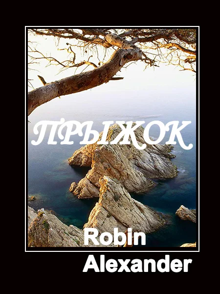 Обложка Прыжок (ЛП)