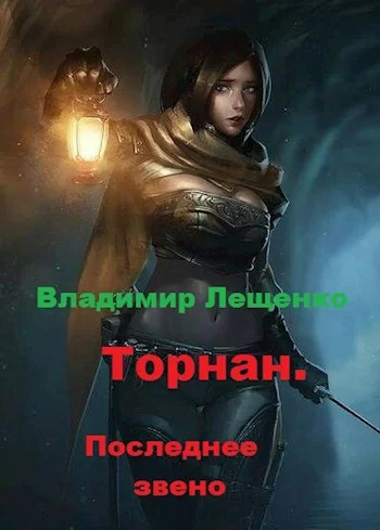 Обложка Последнее звено