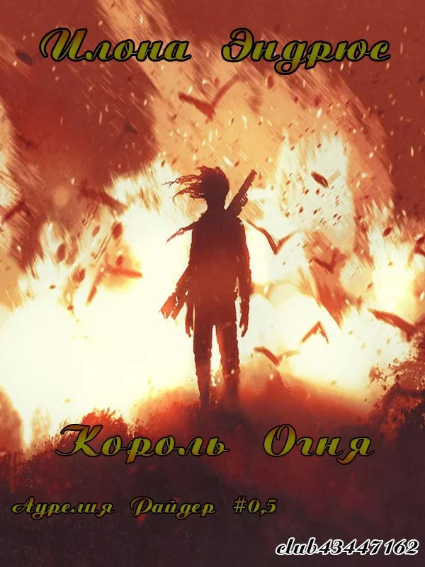 Обложка Король огня