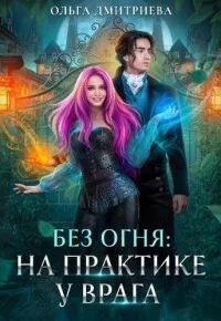 Обложка На практике у врага