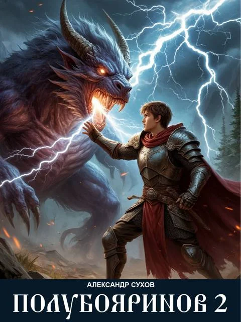 Обложка Полубояринов 2