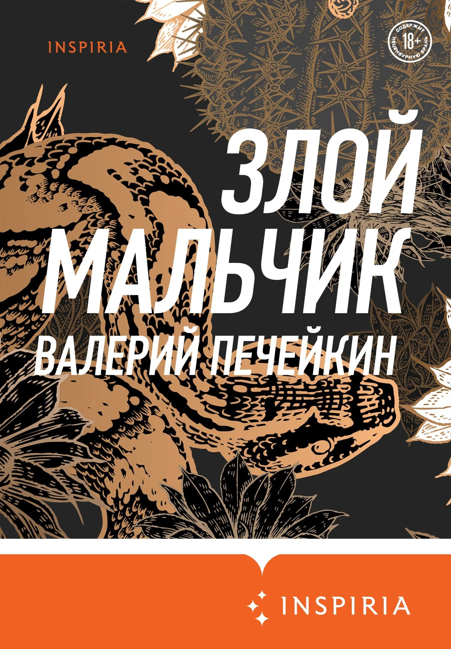 Обложка Злой мальчик