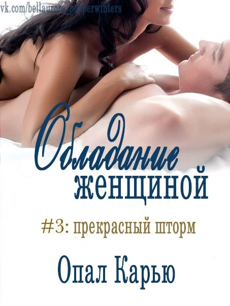 Обложка Прекрасный Шторм