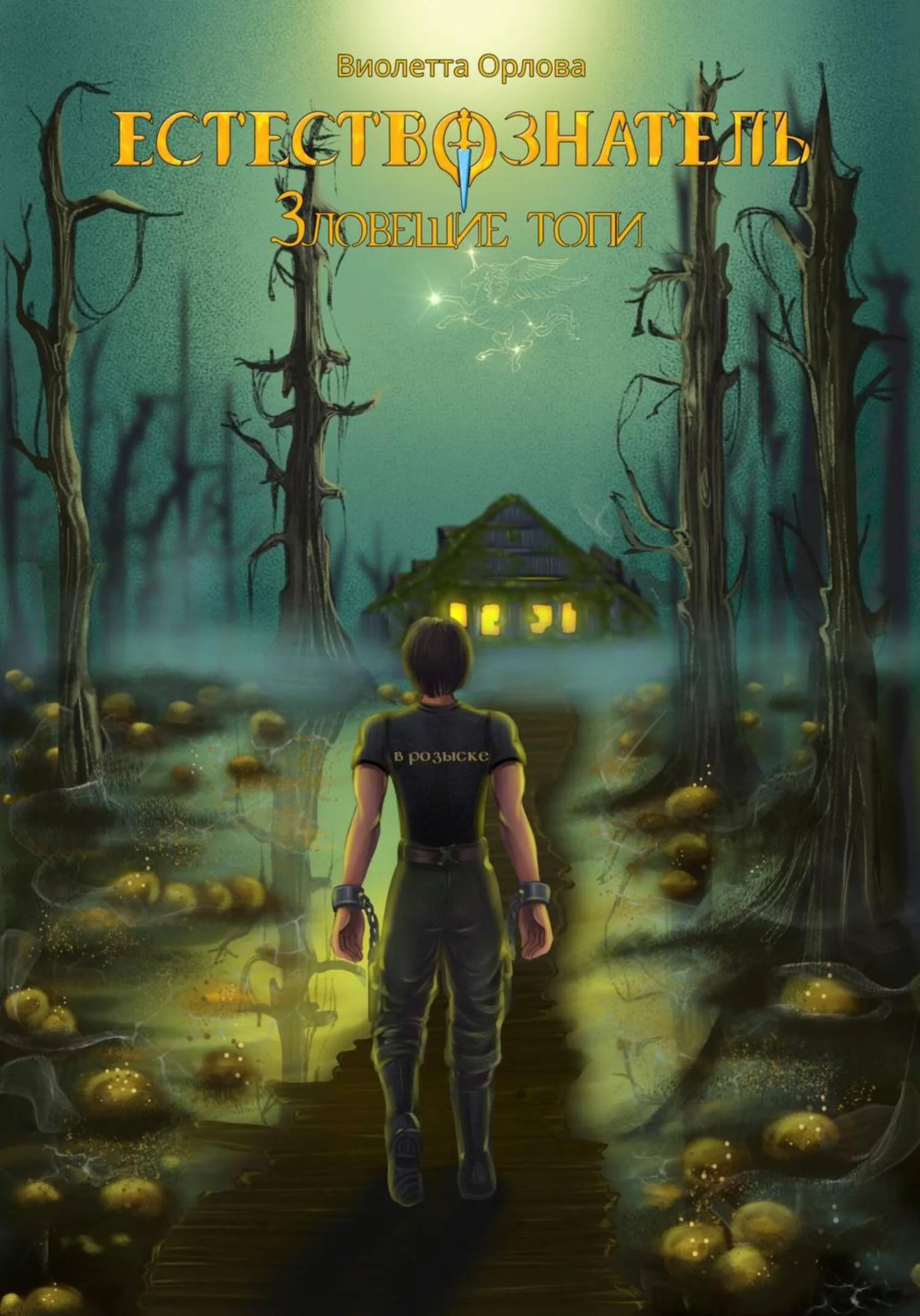 Обложка Зловещие топи