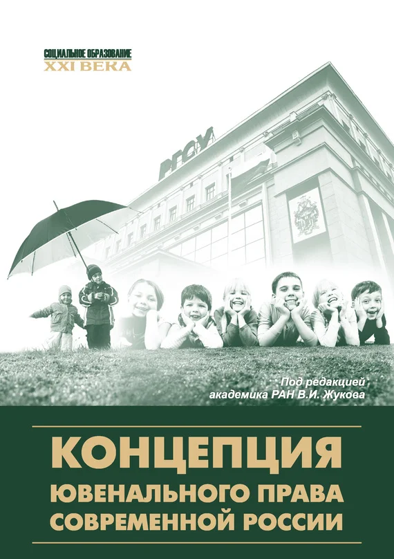 Обложка Концепция ювенального права современной России