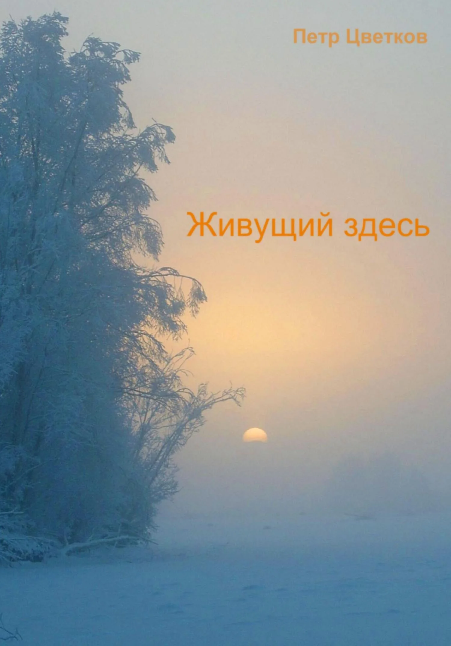 Обложка Живущий здесь