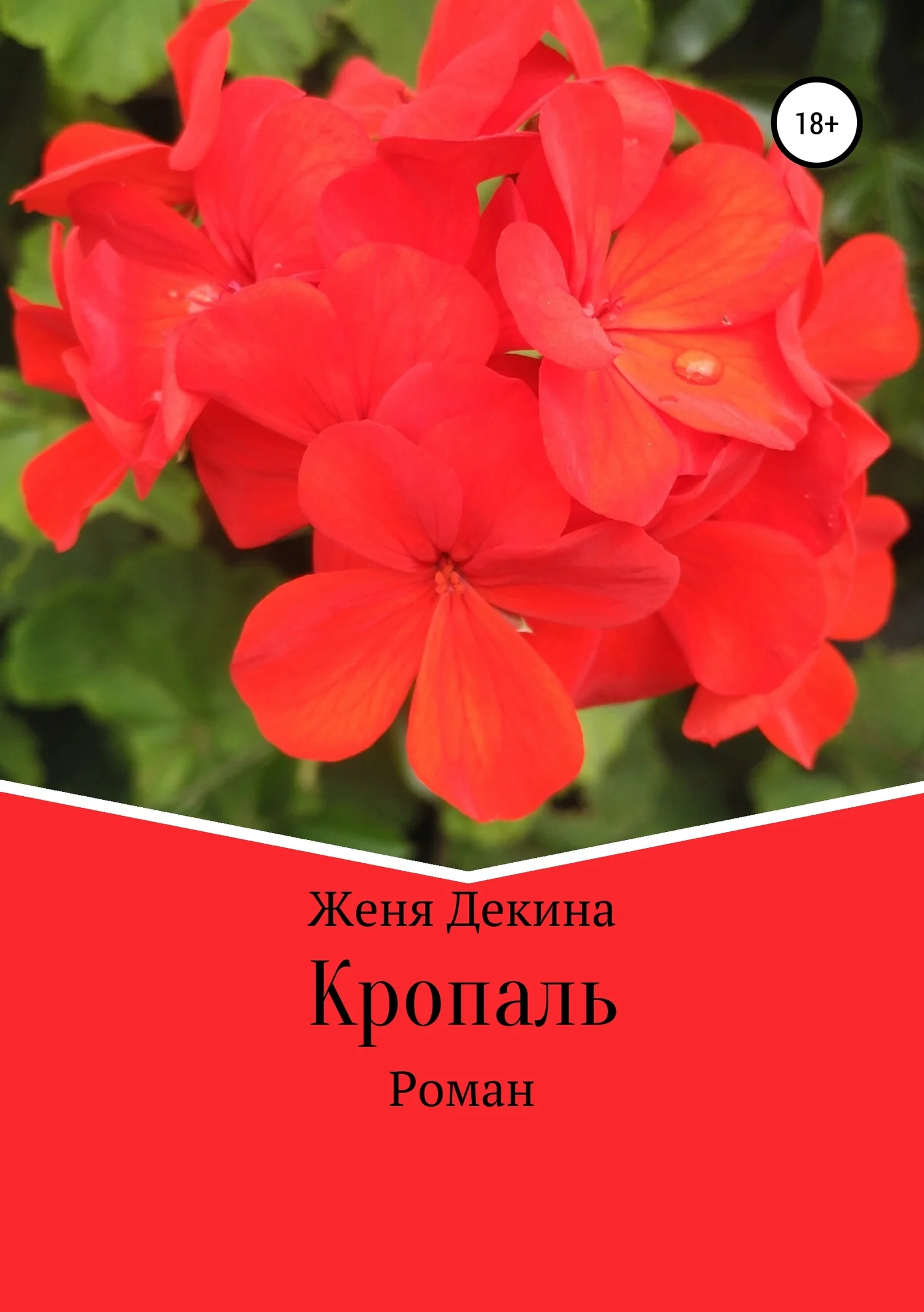 Обложка Кропаль. Роман