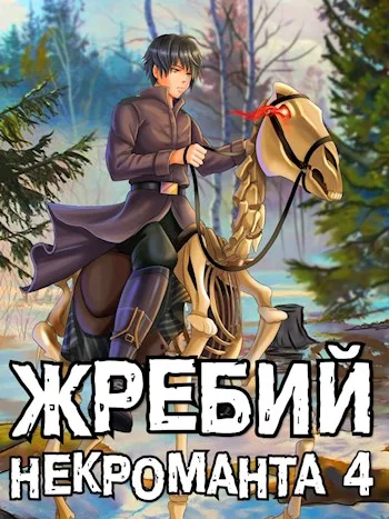 Обложка Жребий некроманта #4