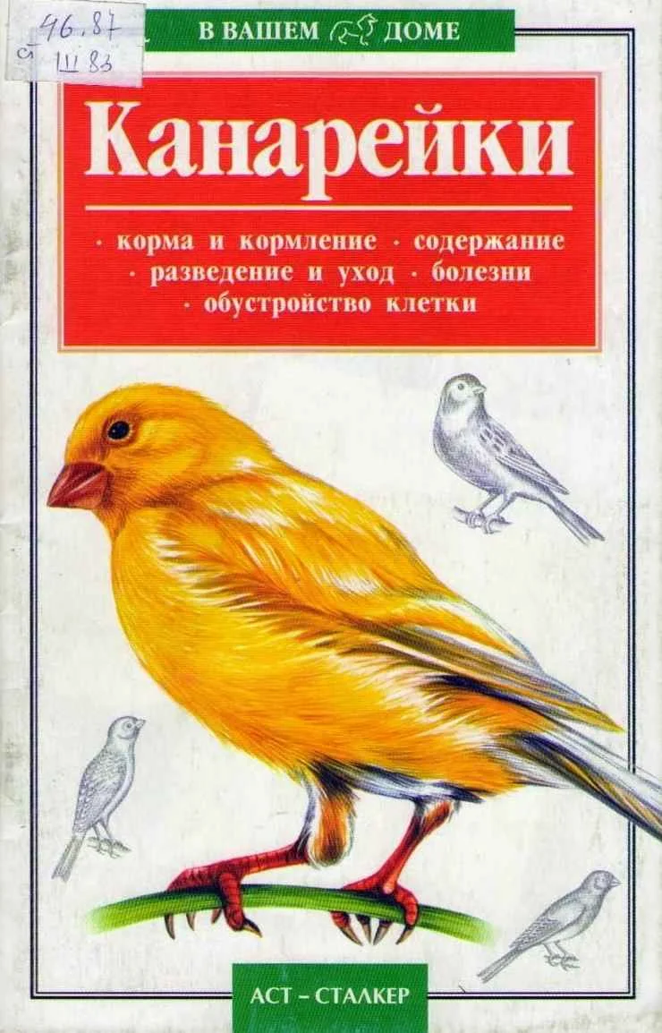 Обложка Канарейки