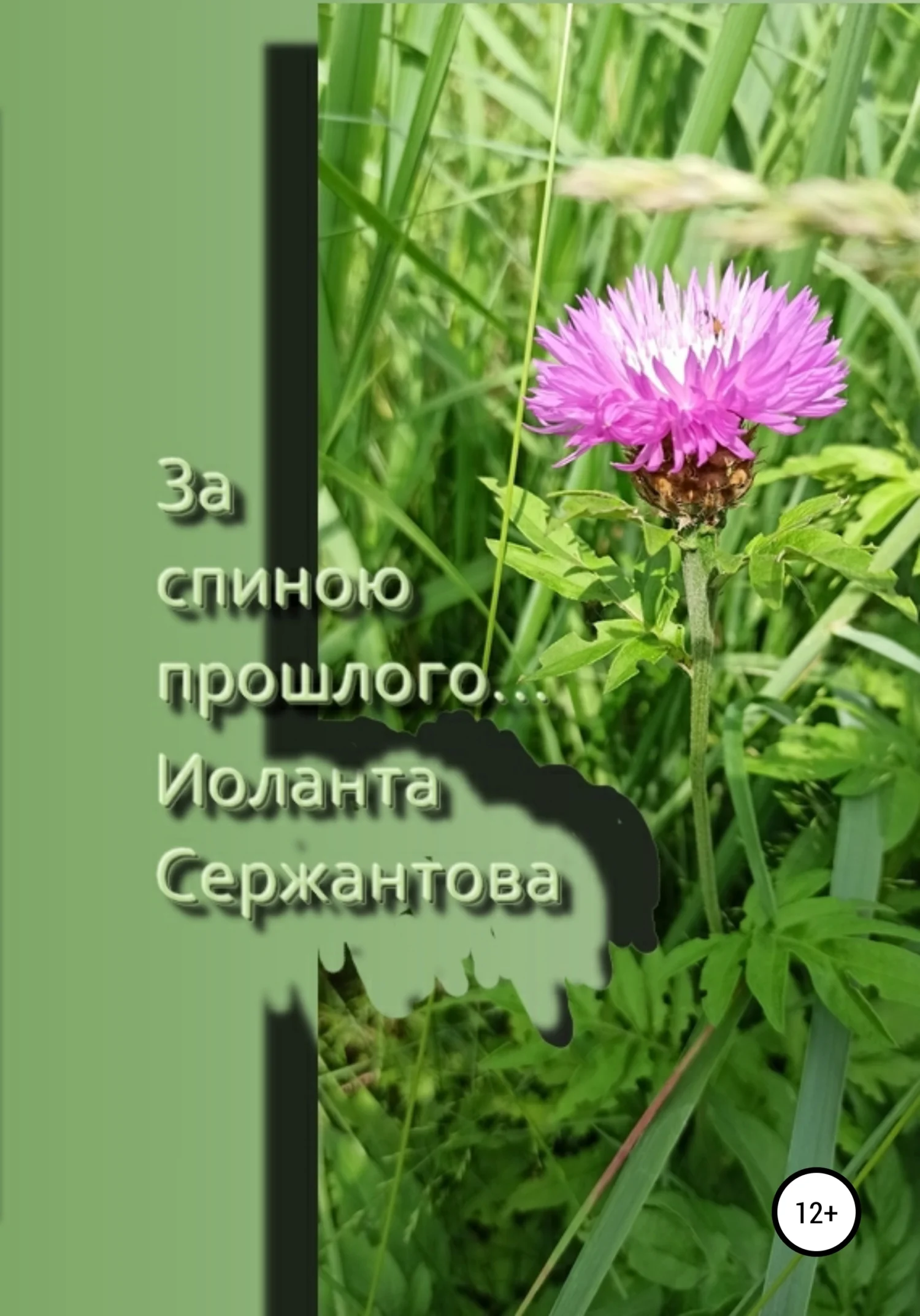 Обложка За спиною прошлого…