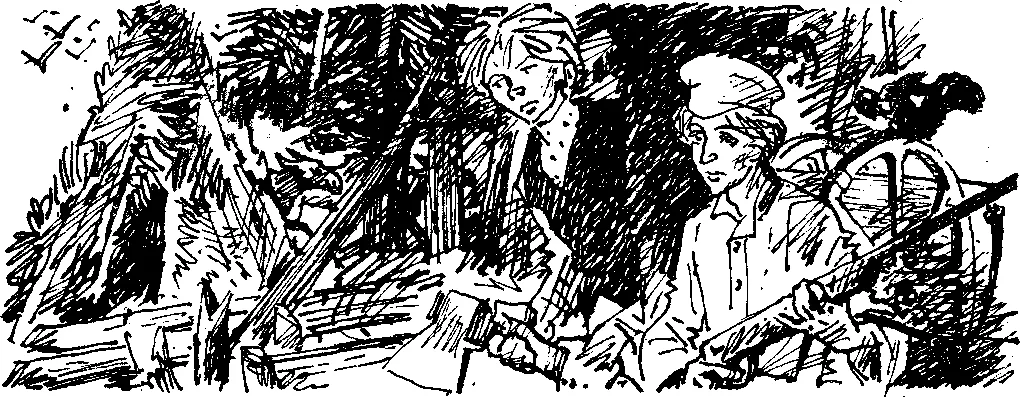 Обложка Робинзон в русском лесу