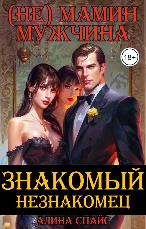 Обложка (Не) Мамин мужчина. Знакомый незнакомец .