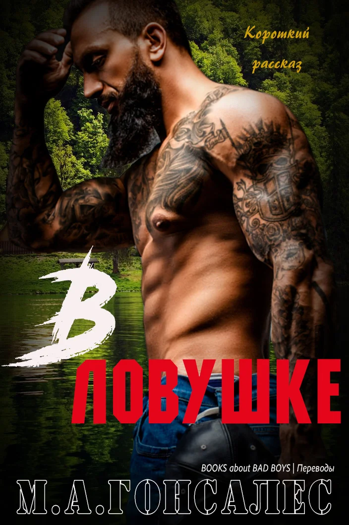 Обложка В ловушке