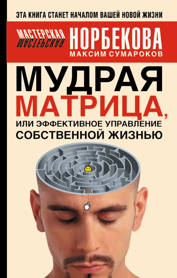 Обложка Мудрая матрица, или Эффективное управление собственной жизнью
