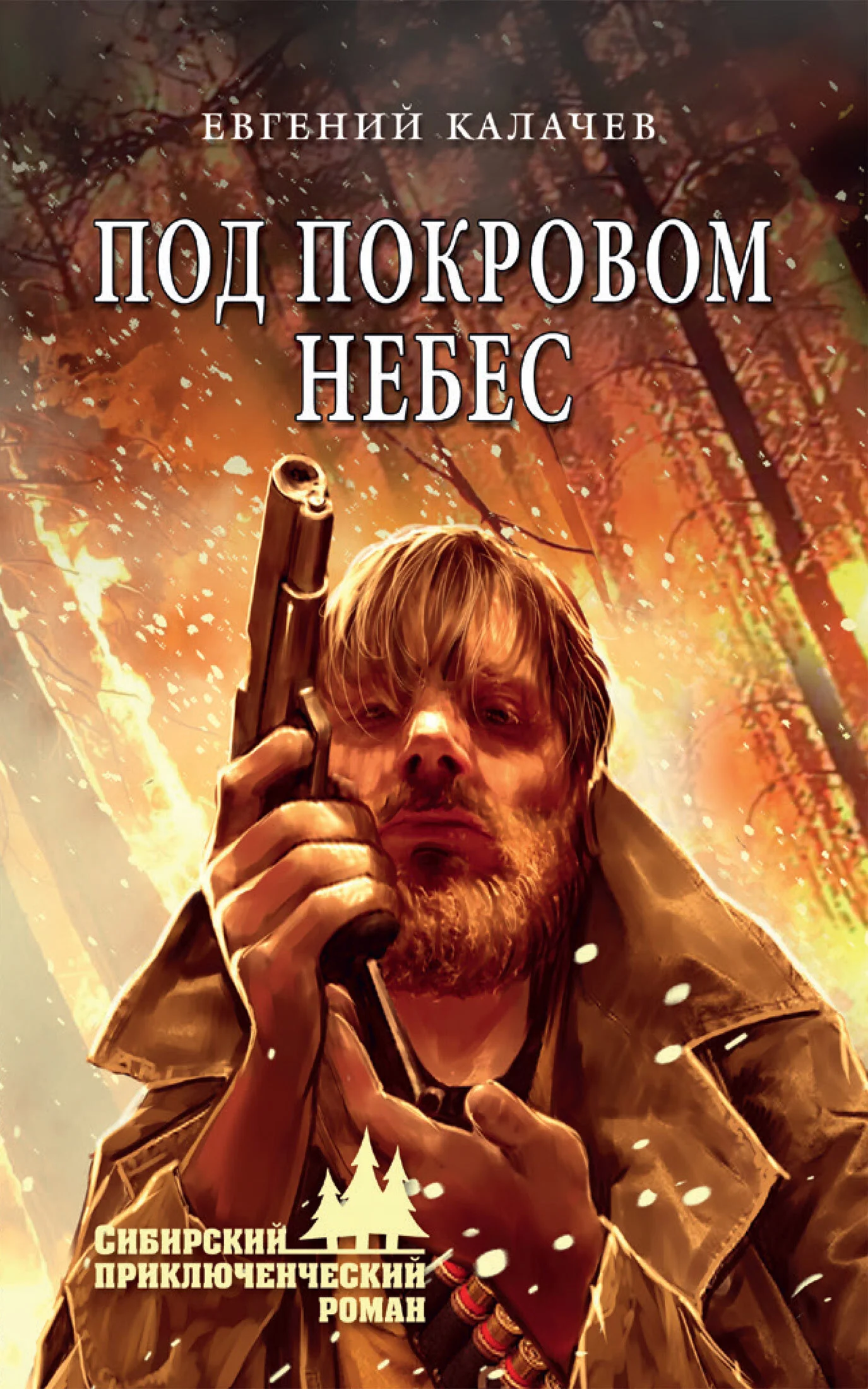 Обложка Под покровом небес