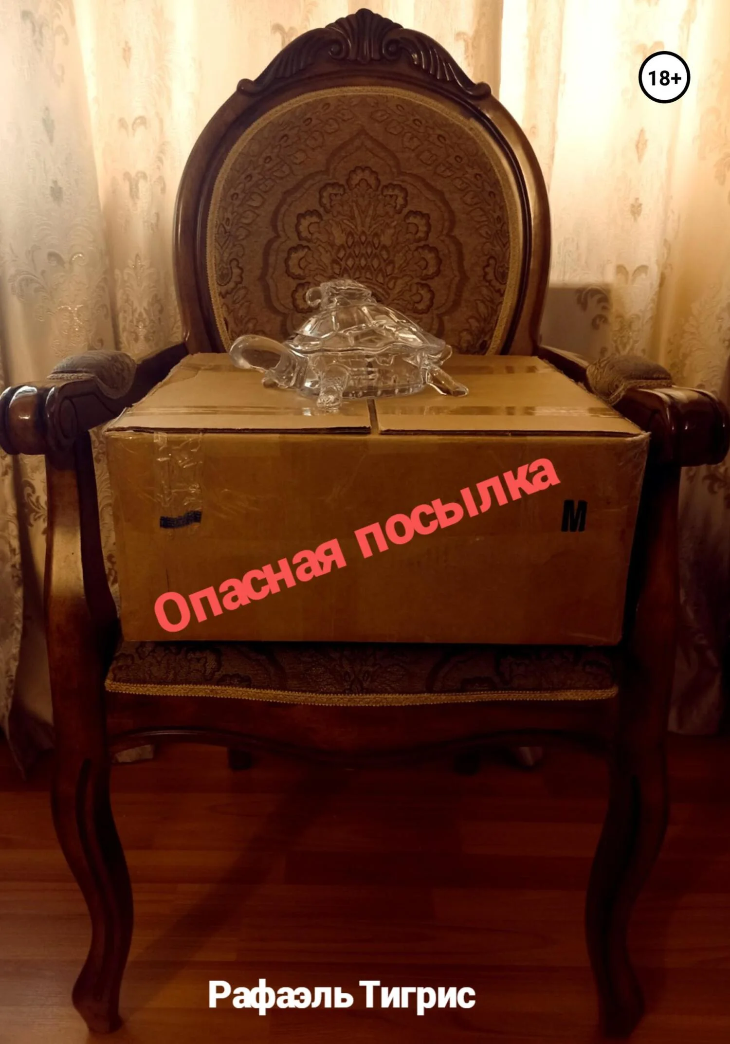 Обложка Опасная посылка