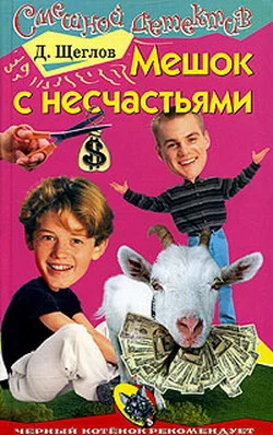 Обложка Мешок с несчастьями