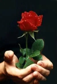 Обложка Неудавшаяся месть