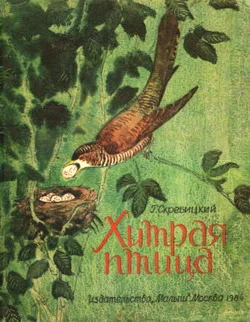 Обложка Хитрая птица