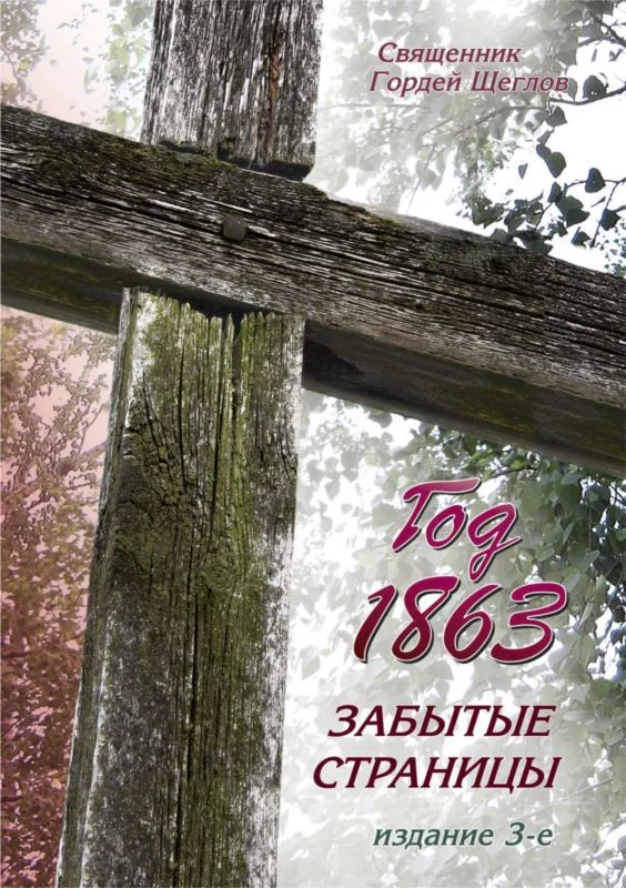 Обложка Год 1863. Забытые страницы
