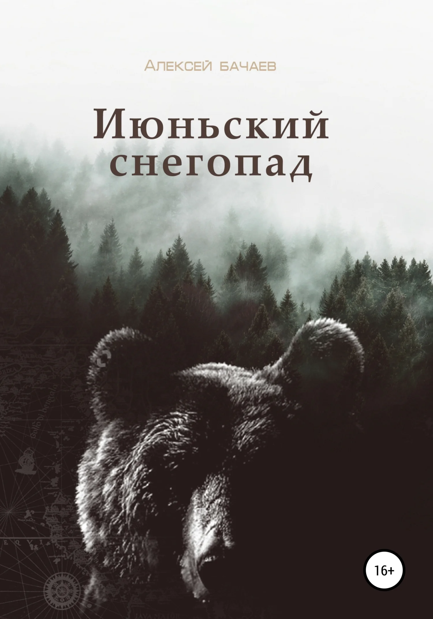 Обложка Июльский снегопад