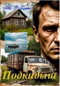 Обложка Подкидыш