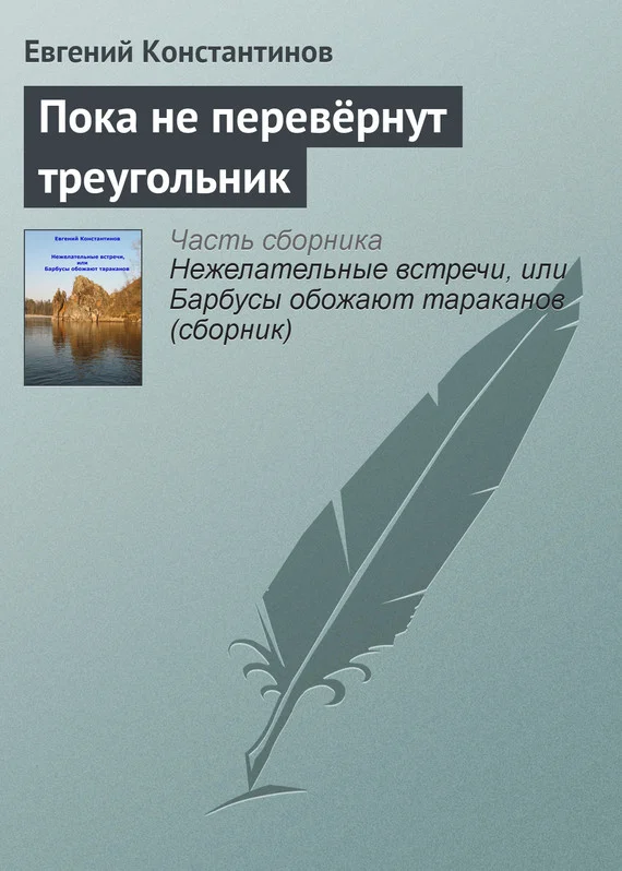 Обложка Пока не перевёрнут треугольник