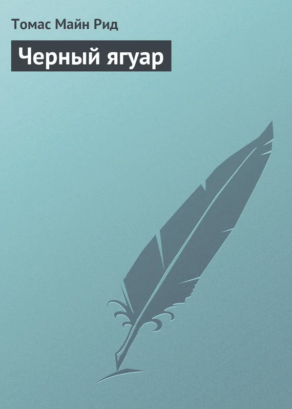 Обложка Черный ягуар