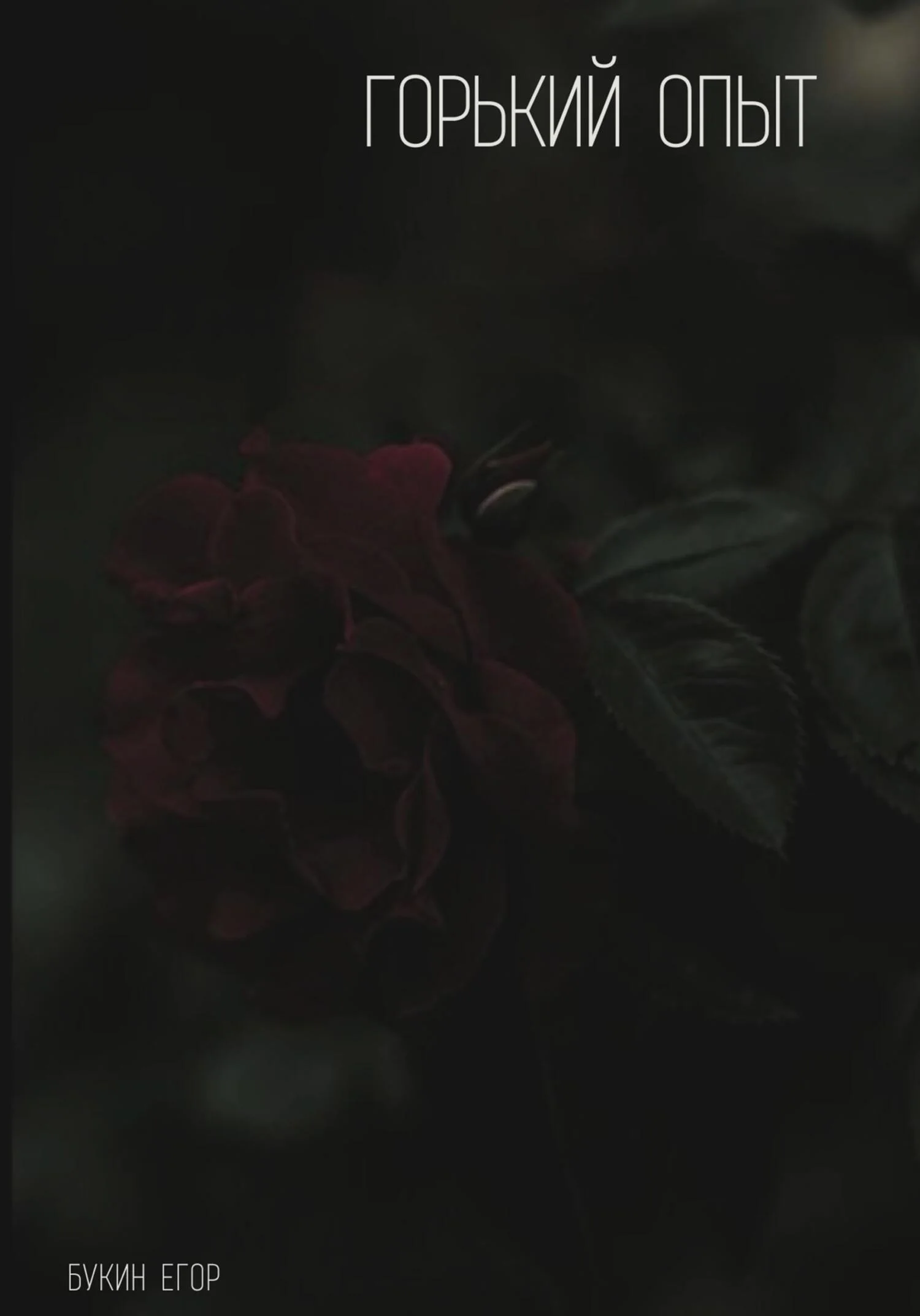 Обложка Горький опыт