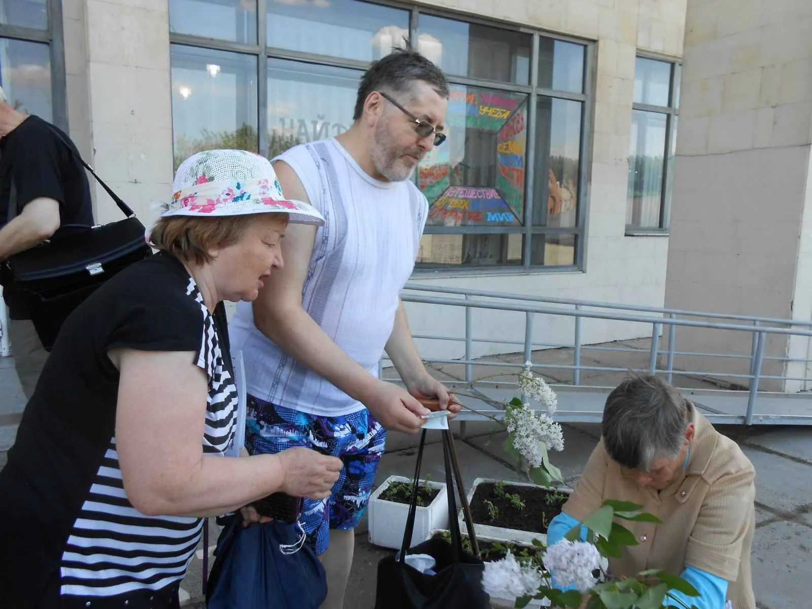 Обложка Живой Журнал Нины Горлановой - 4 декабря 2013- июнь 2014