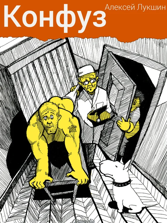 Обложка Конфуз (сборник)