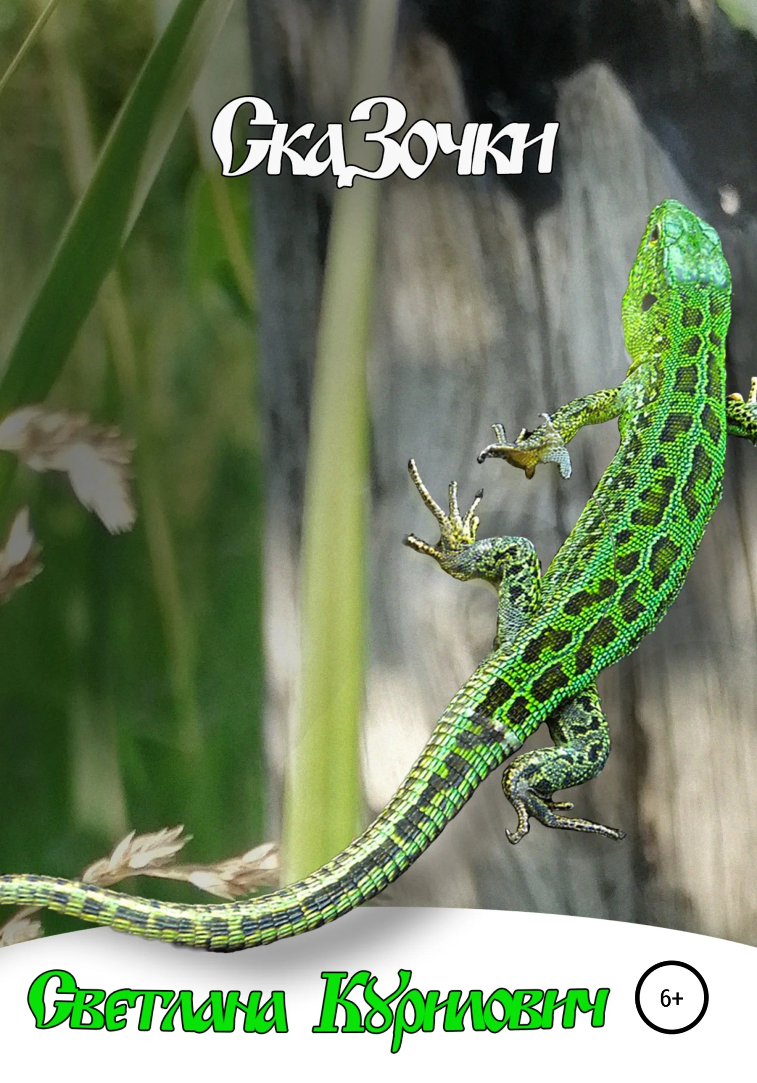 Обложка Ска3очки