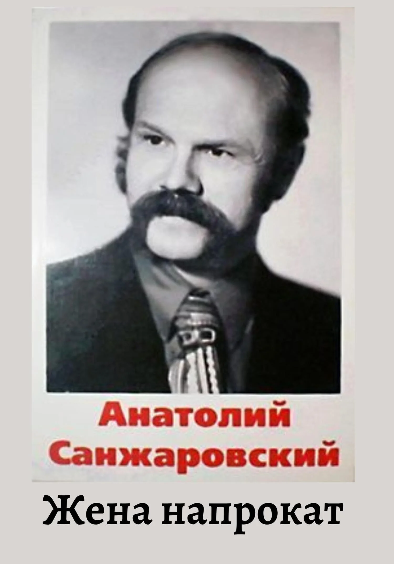 Обложка Жена напрокат