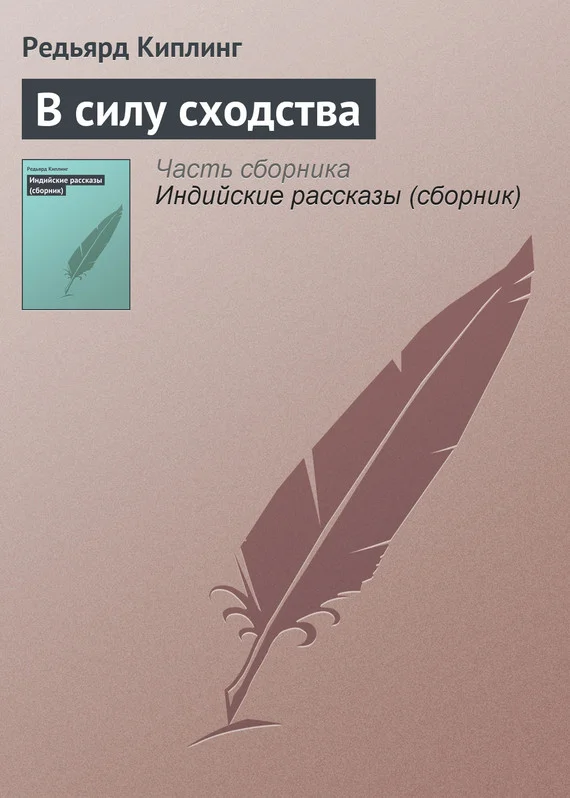 Обложка В силу сходства