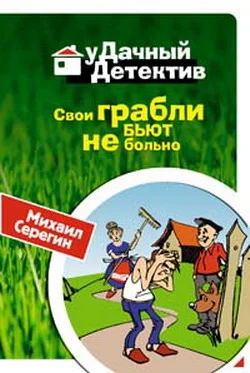 Обложка Свои грабли бьют не больно