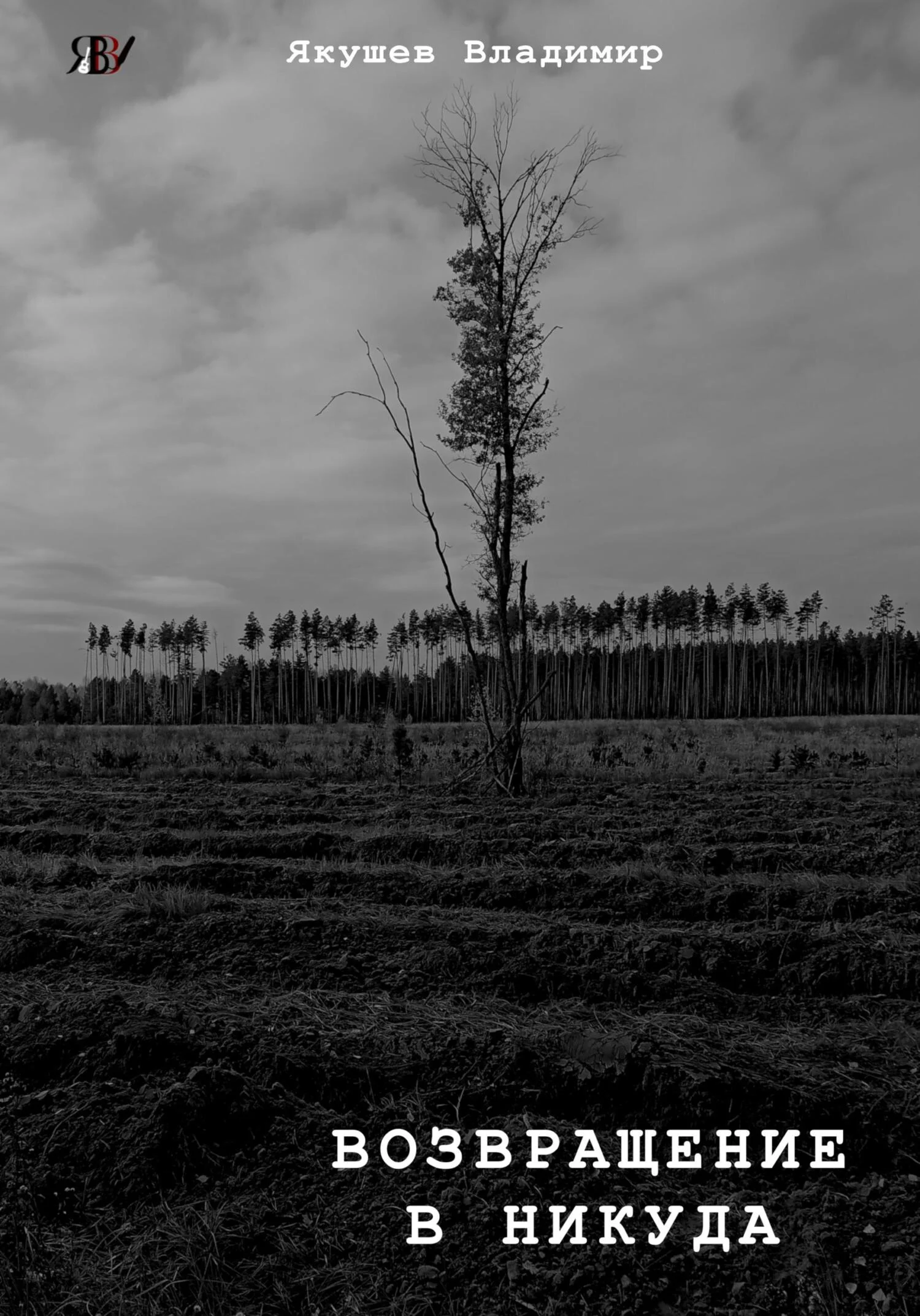 Обложка Возвращение в никуда