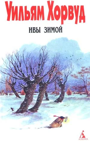 Обложка Ивы зимой