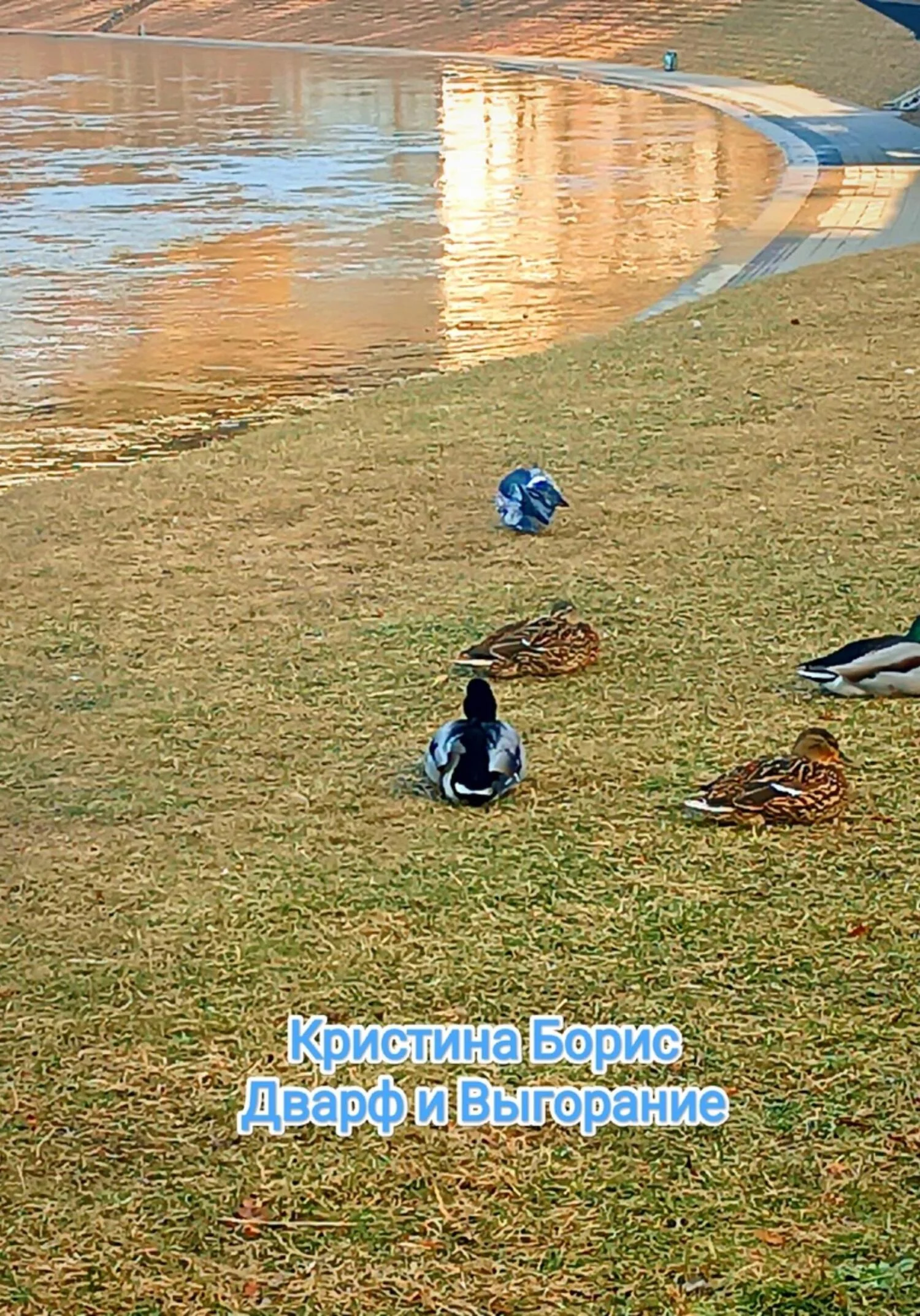 Обложка Дварф и выгорание