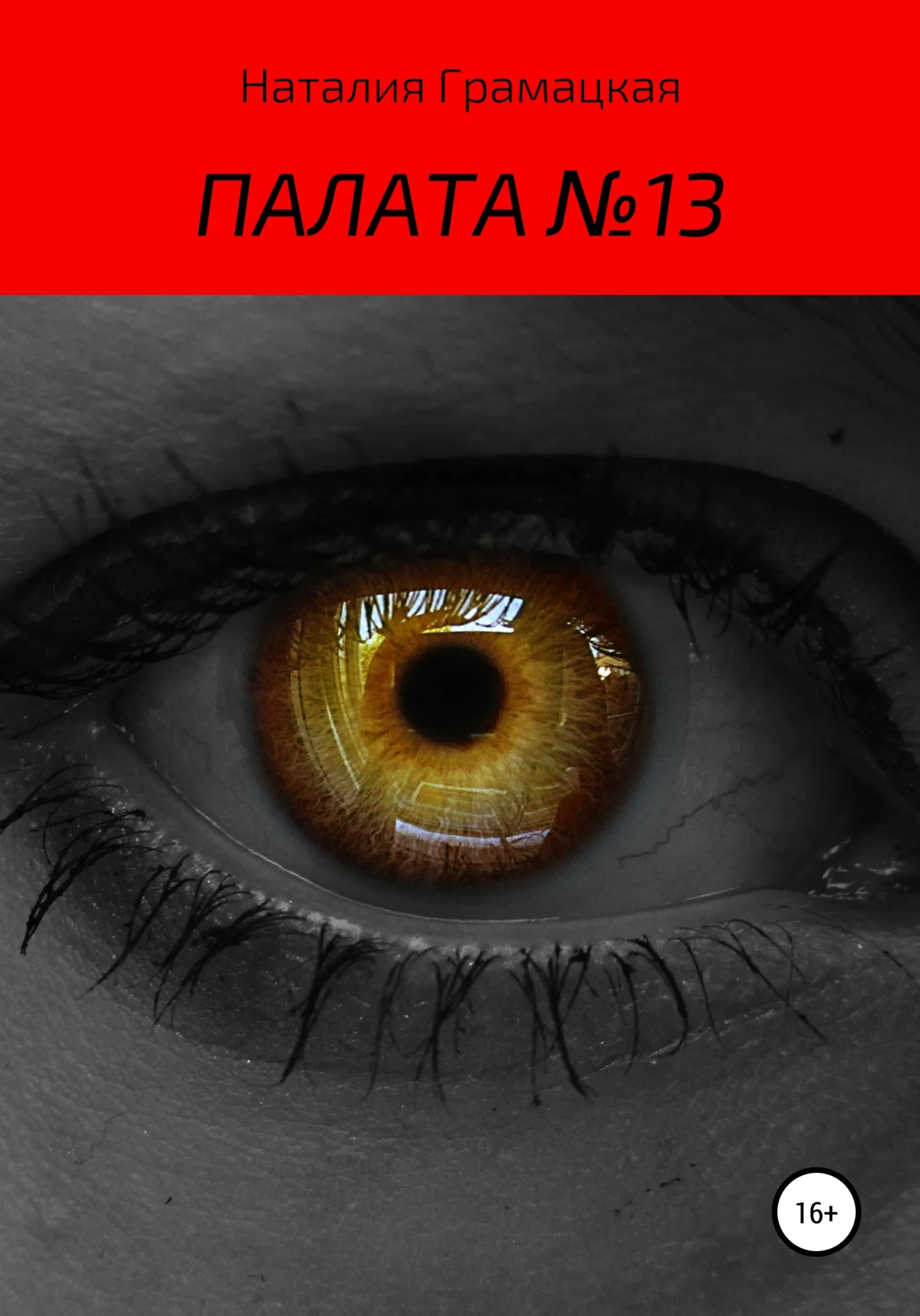 Обложка Палата №13