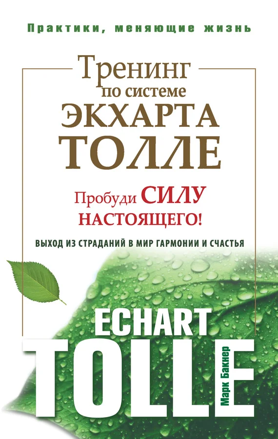 Обложка Тренинг по системе Экхарта Толле. Пробуди силу настоящего! Выход из страданий в мир гармонии и счастья