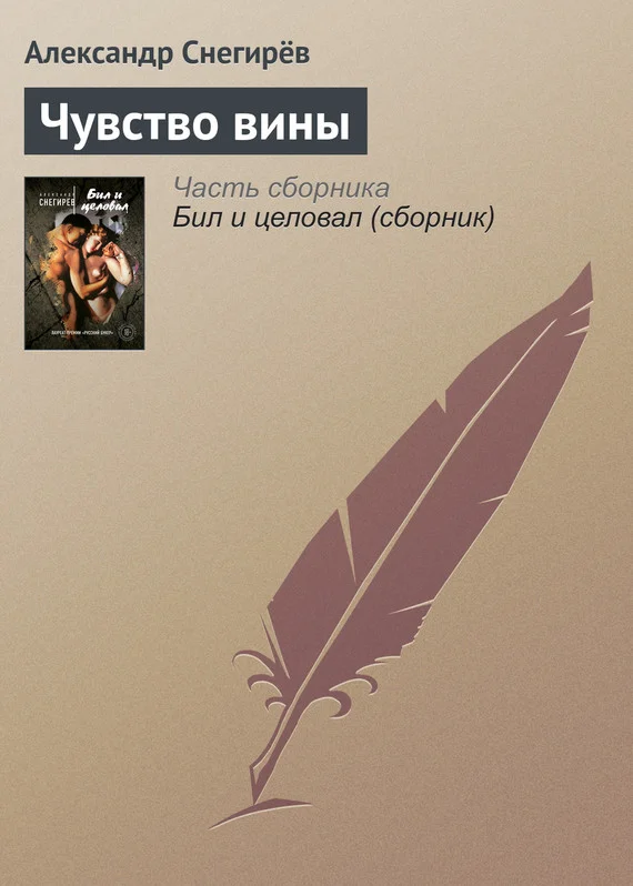Обложка Чувство вины