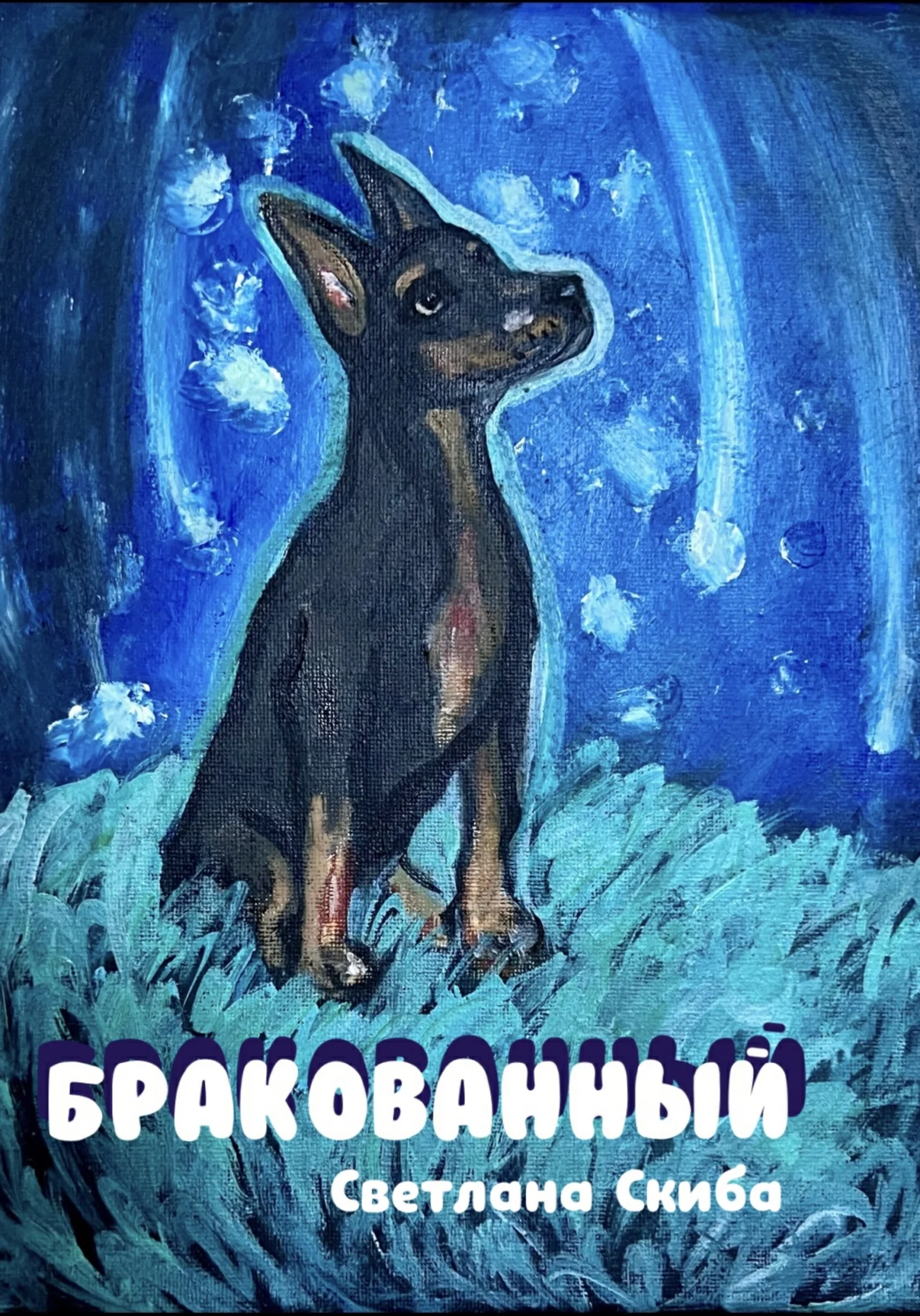 Обложка Бракованный