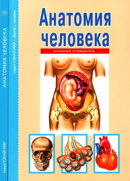 Обложка Анатомия человека