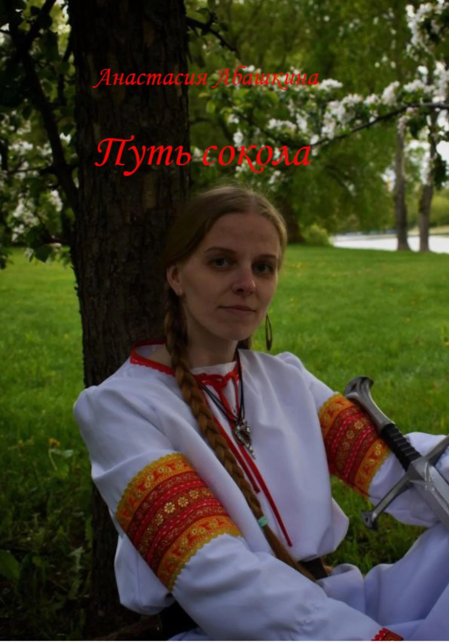 Обложка Путь сокола