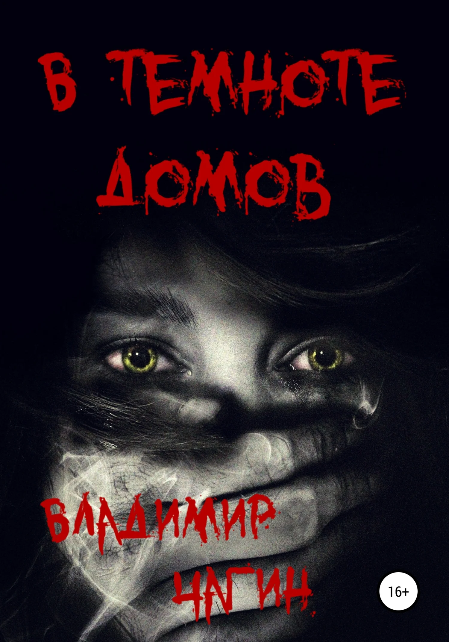Обложка В темноте домов