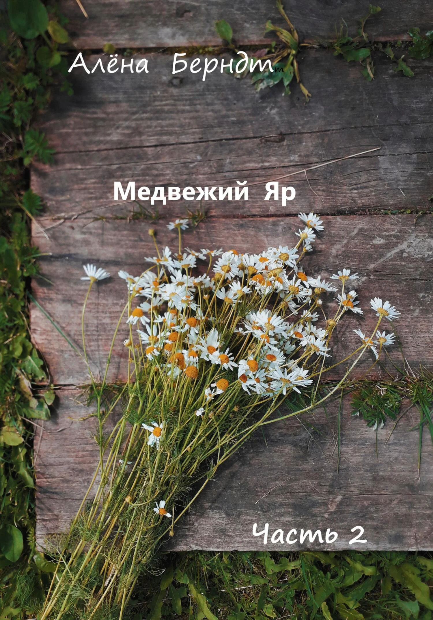 Обложка Медвежий Яр. Часть 2