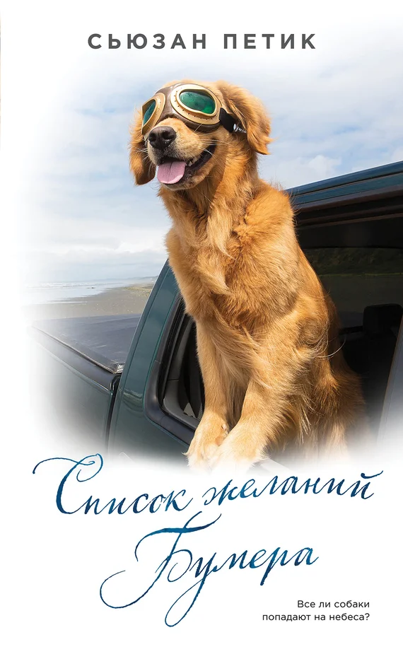 Обложка Список желаний Бумера