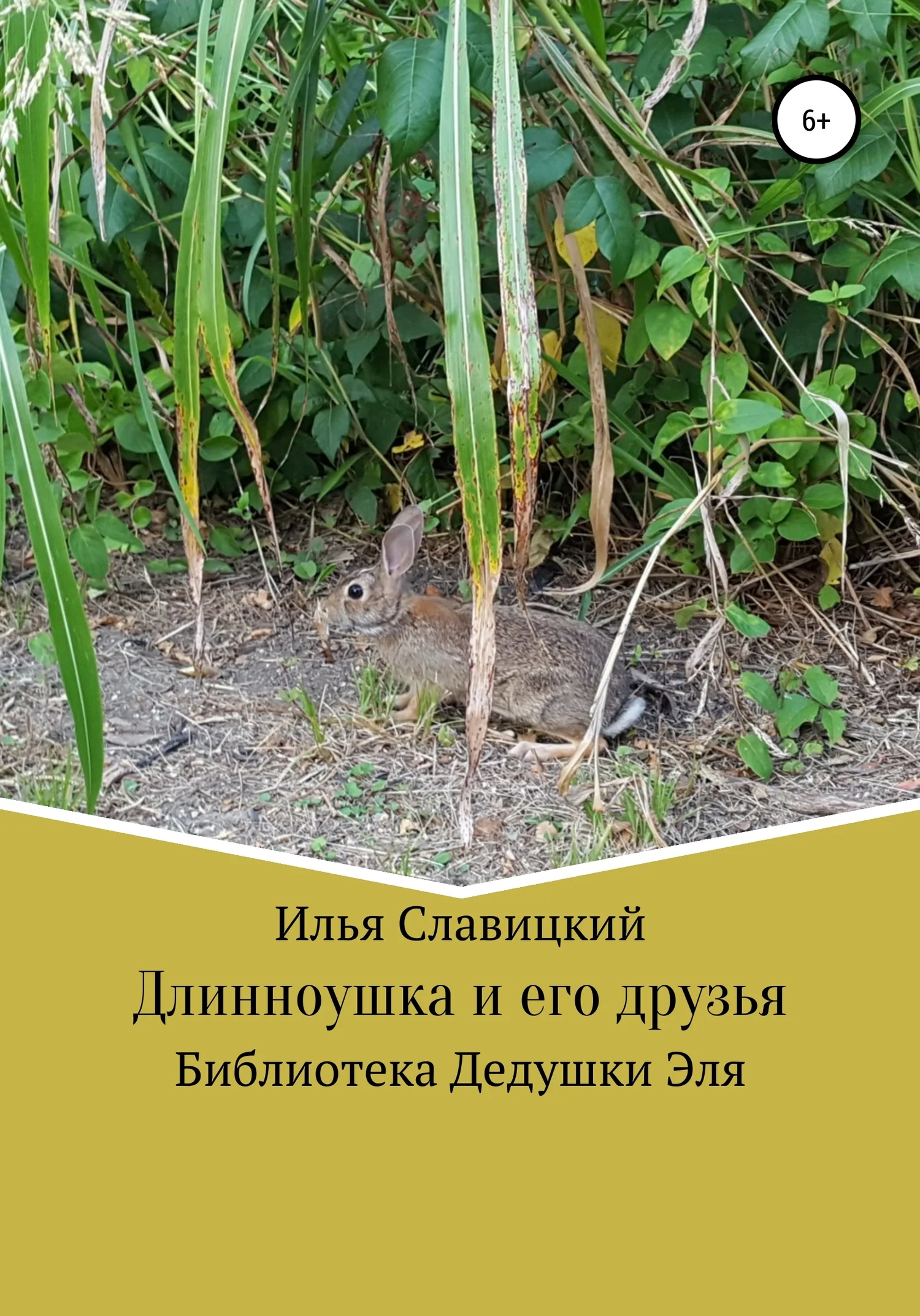 Обложка Длинноушка и его друзья