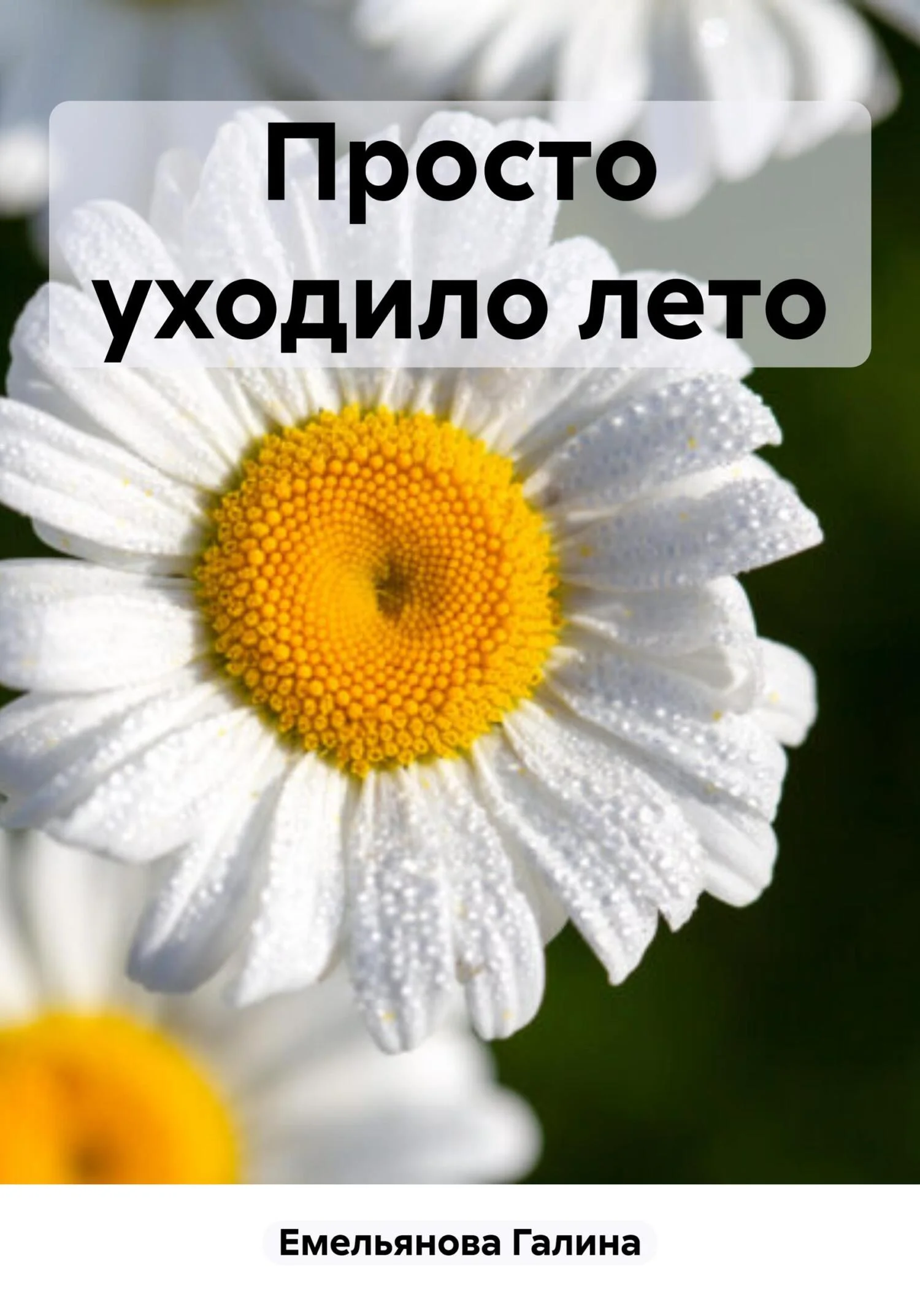 Обложка Просто уходило лето [СИ]