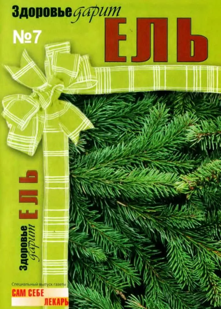 Обложка Здоровье дарит ЕЛЬ. Спецвыпуск газеты "Сам себе лекарь", №7 (февраль 2009)